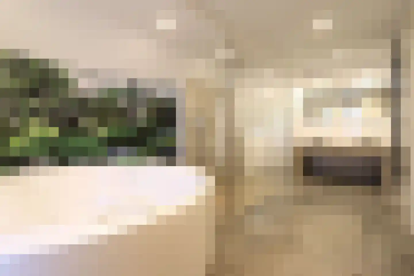 Tunnelweg 7 155 Haarle thumbnail 10