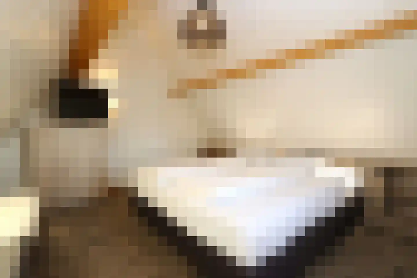 Tunnelweg 7 155 Haarle thumbnail 16