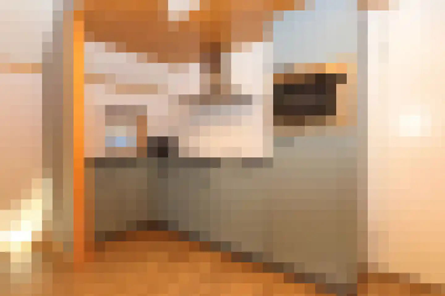 Tunnelweg 7 155 Haarle thumbnail 9