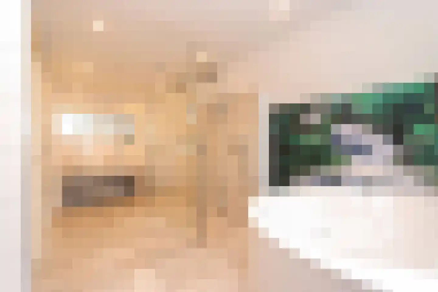 Tunnelweg 7 156 Haarle thumbnail 10
