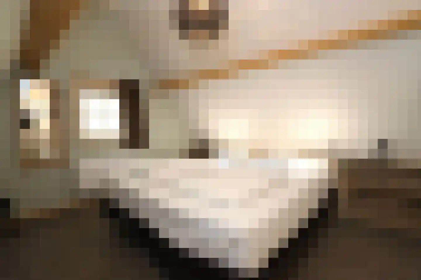 Tunnelweg 7 156 Haarle thumbnail 17