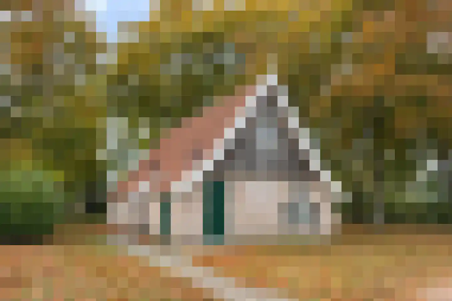 Tunnelweg 7 156 Haarle thumbnail 4