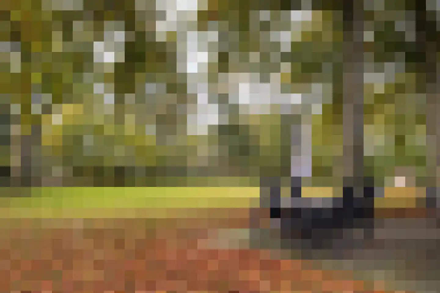 Tunnelweg 7 156 Haarle thumbnail 5