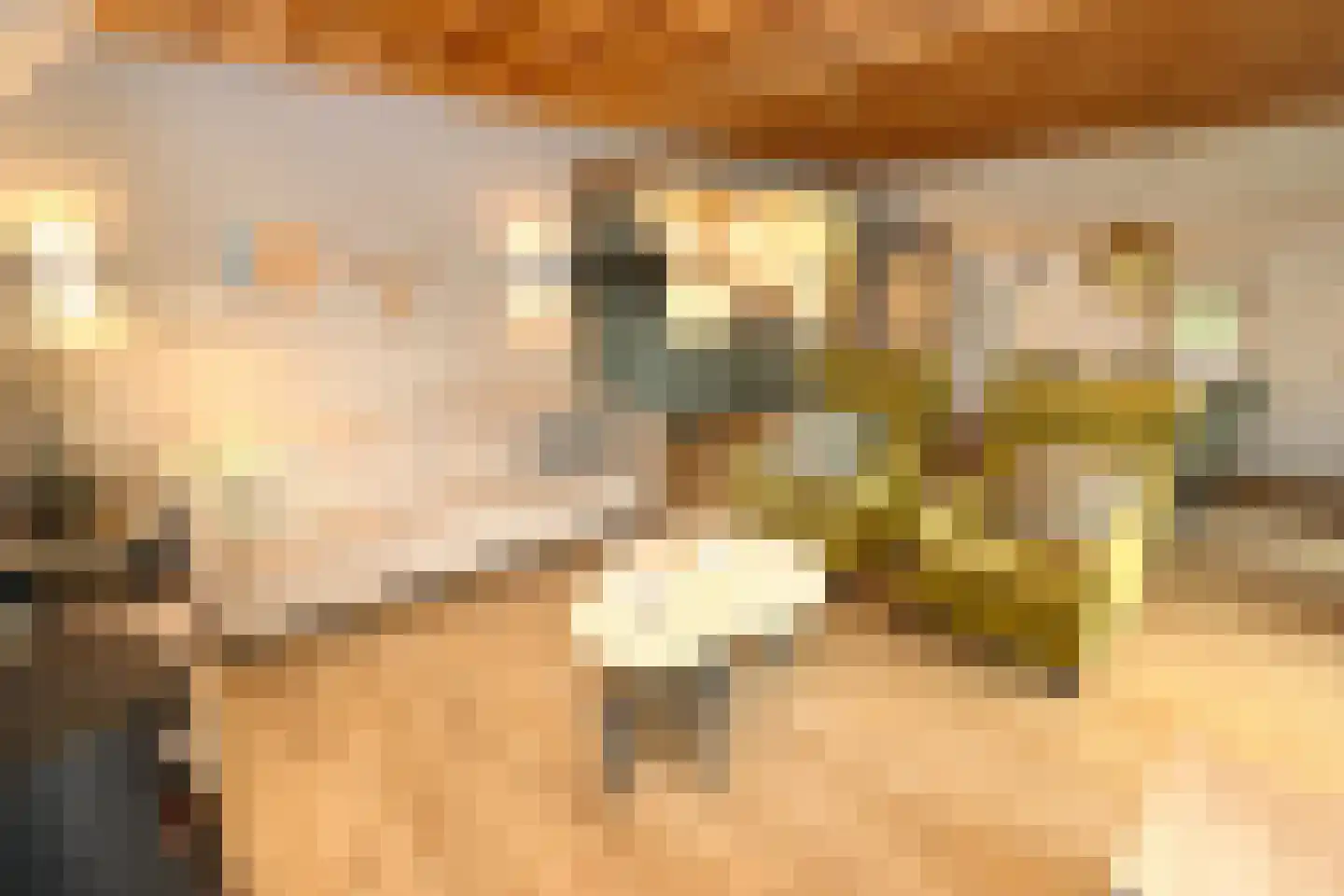 Tunnelweg 7 156 Haarle thumbnail 6