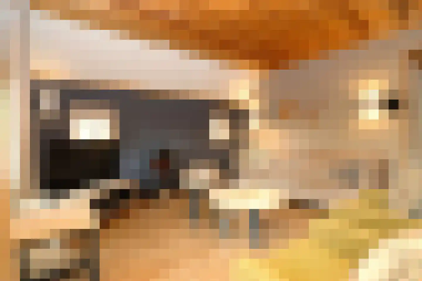 Tunnelweg 7 156 Haarle thumbnail 7