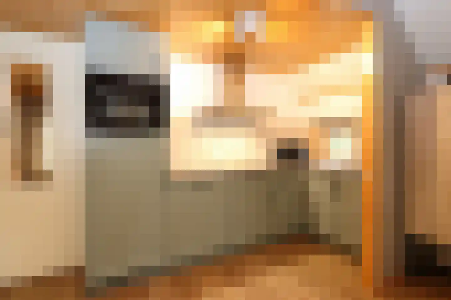 Tunnelweg 7 156 Haarle thumbnail 9