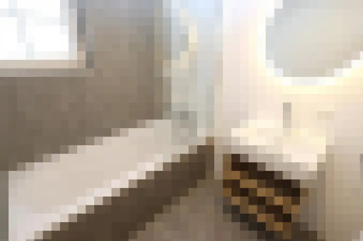 Tunnelweg 7 162 Haarle thumbnail 8