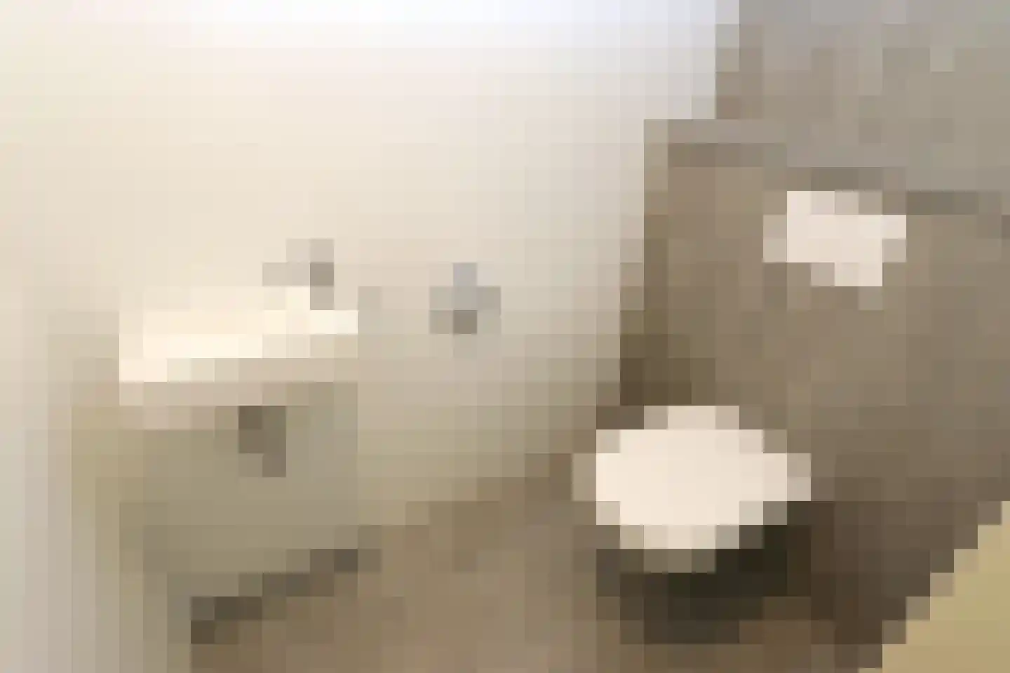 Tunnelweg 7 162 Haarle thumbnail 9