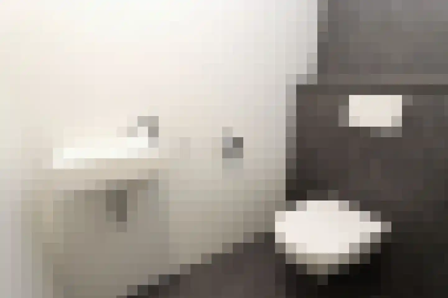 Tunnelweg 7 173 Haarle thumbnail 11