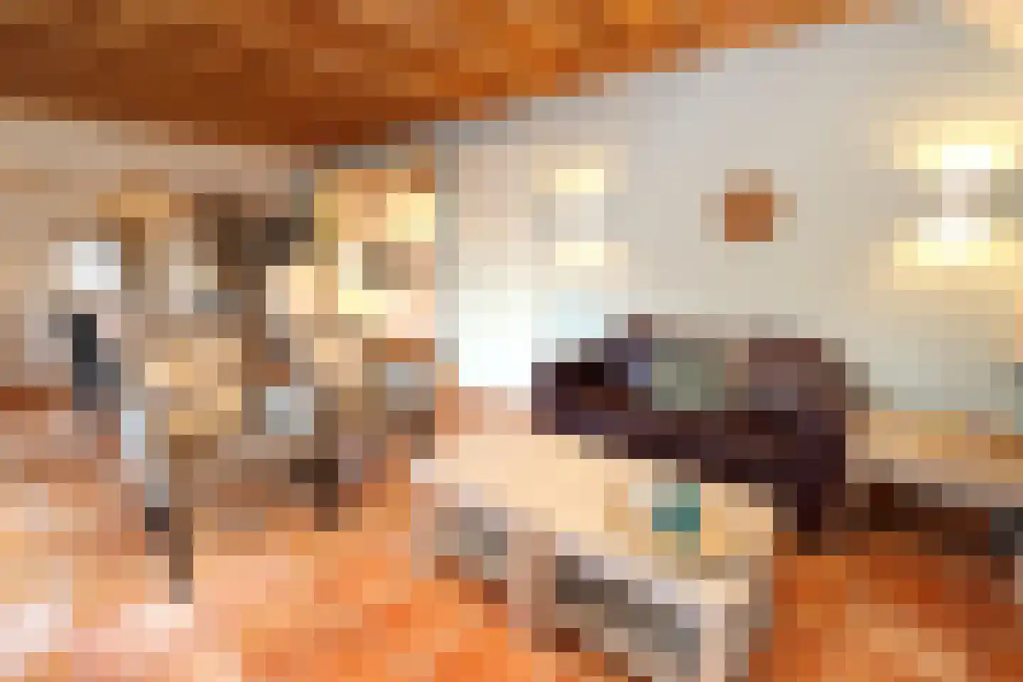 Tunnelweg 7 173 Haarle thumbnail 4