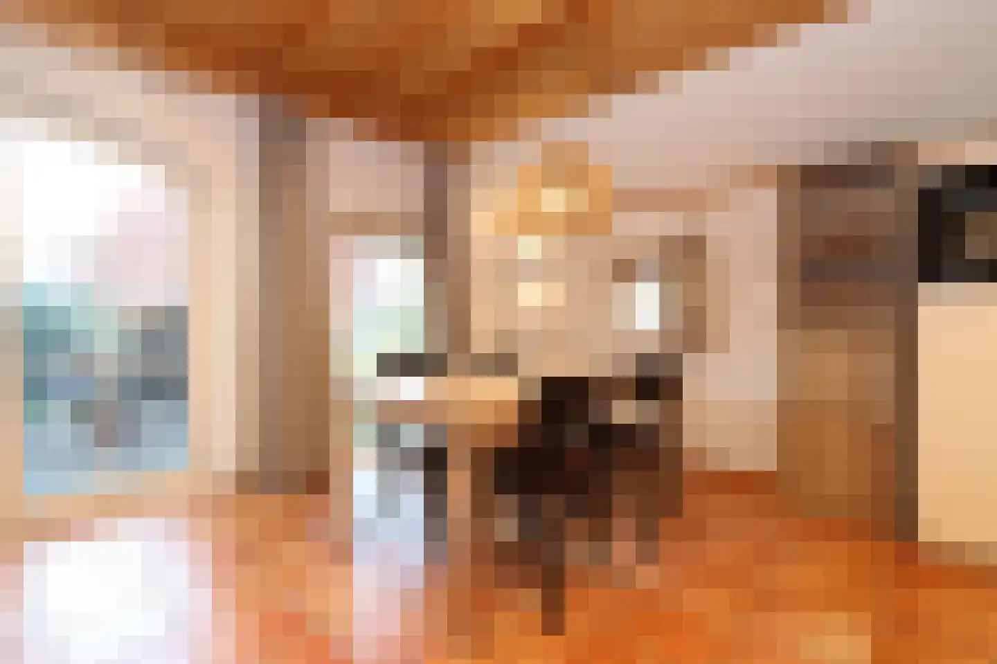 Tunnelweg 7 173 Haarle thumbnail 5