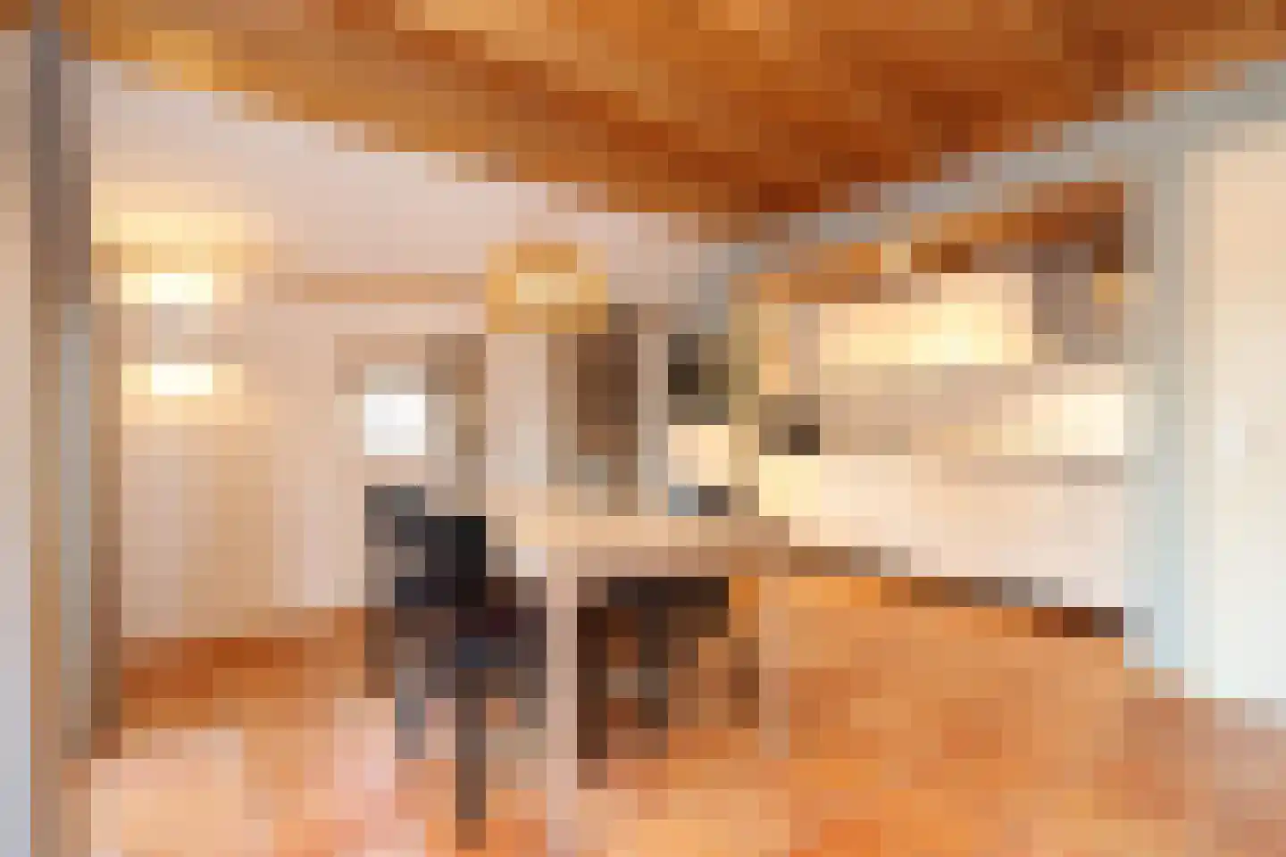 Tunnelweg 7 173 Haarle thumbnail 6