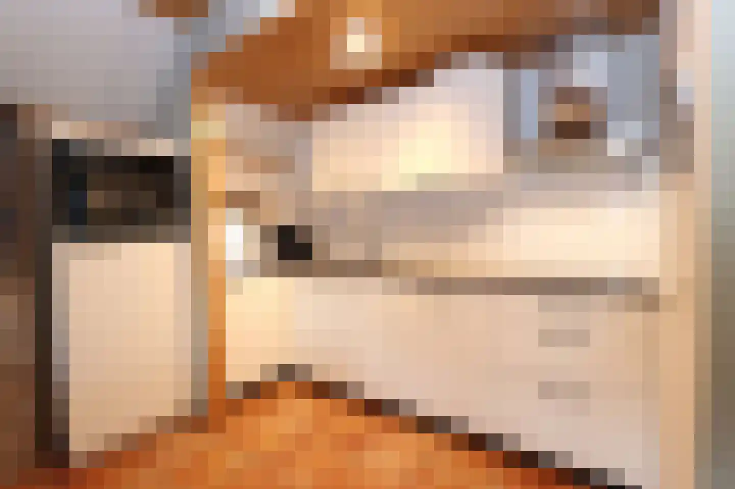 Tunnelweg 7 173 Haarle thumbnail 7