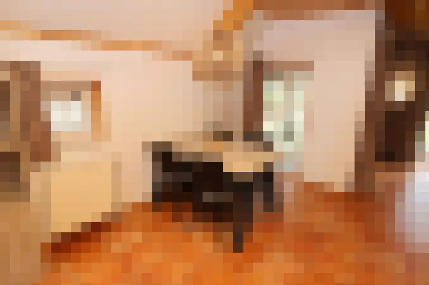 Tunnelweg 7 178 Haarle thumbnail 10
