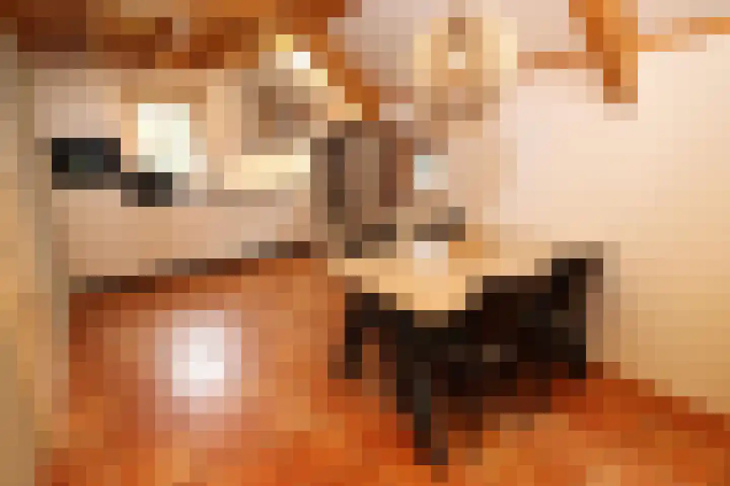 Tunnelweg 7 178 Haarle thumbnail 10