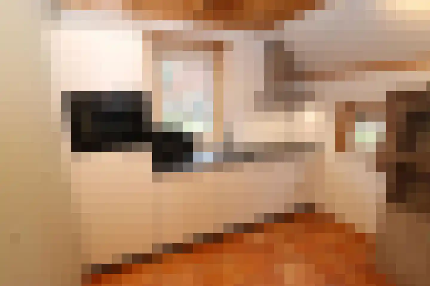 Tunnelweg 7 178 Haarle thumbnail 11