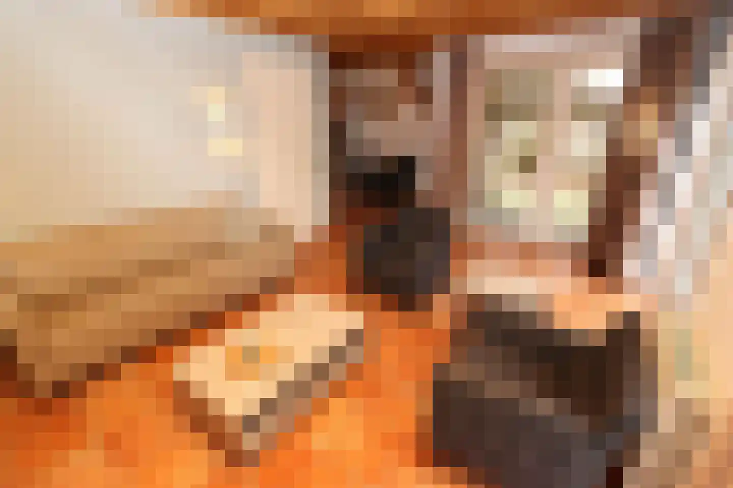 Tunnelweg 7 178 Haarle thumbnail 5