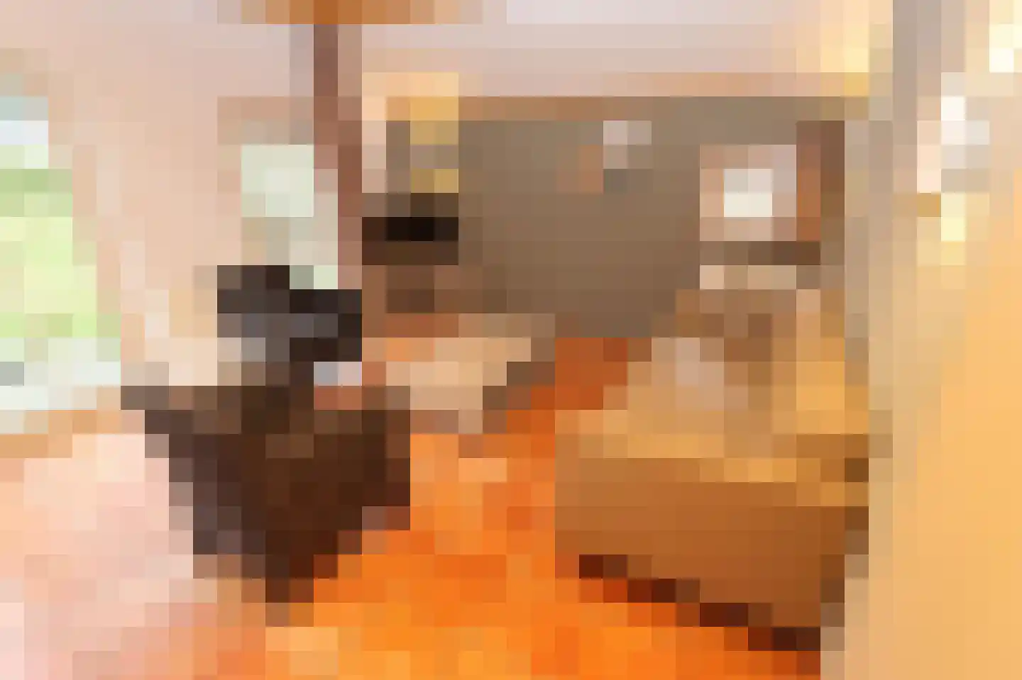 Tunnelweg 7 178 Haarle thumbnail 7
