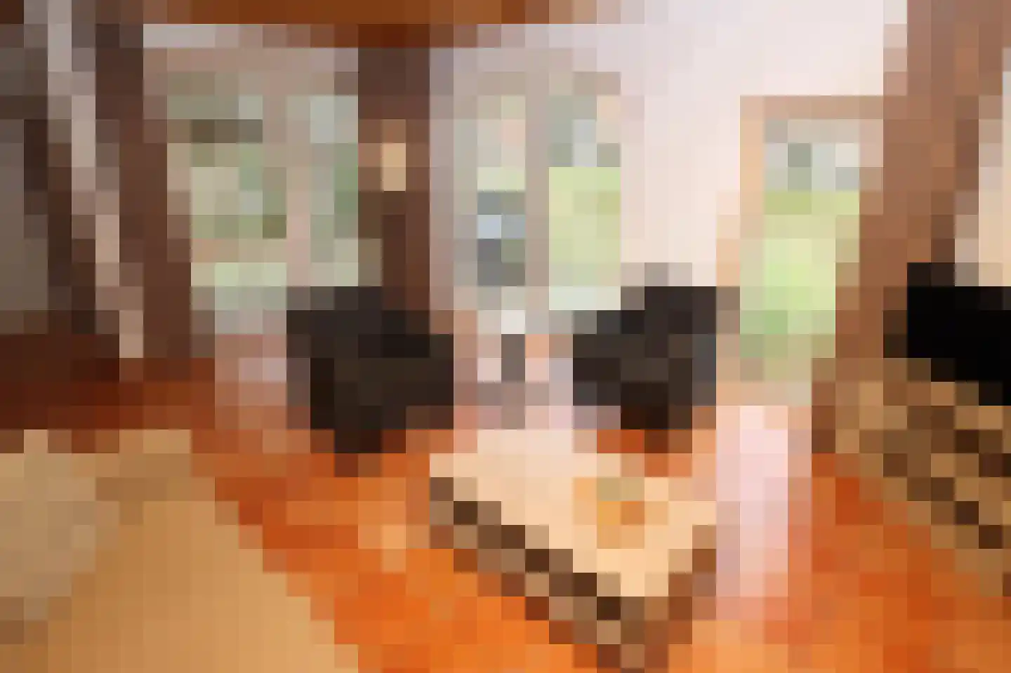 Tunnelweg 7 178 Haarle thumbnail 7