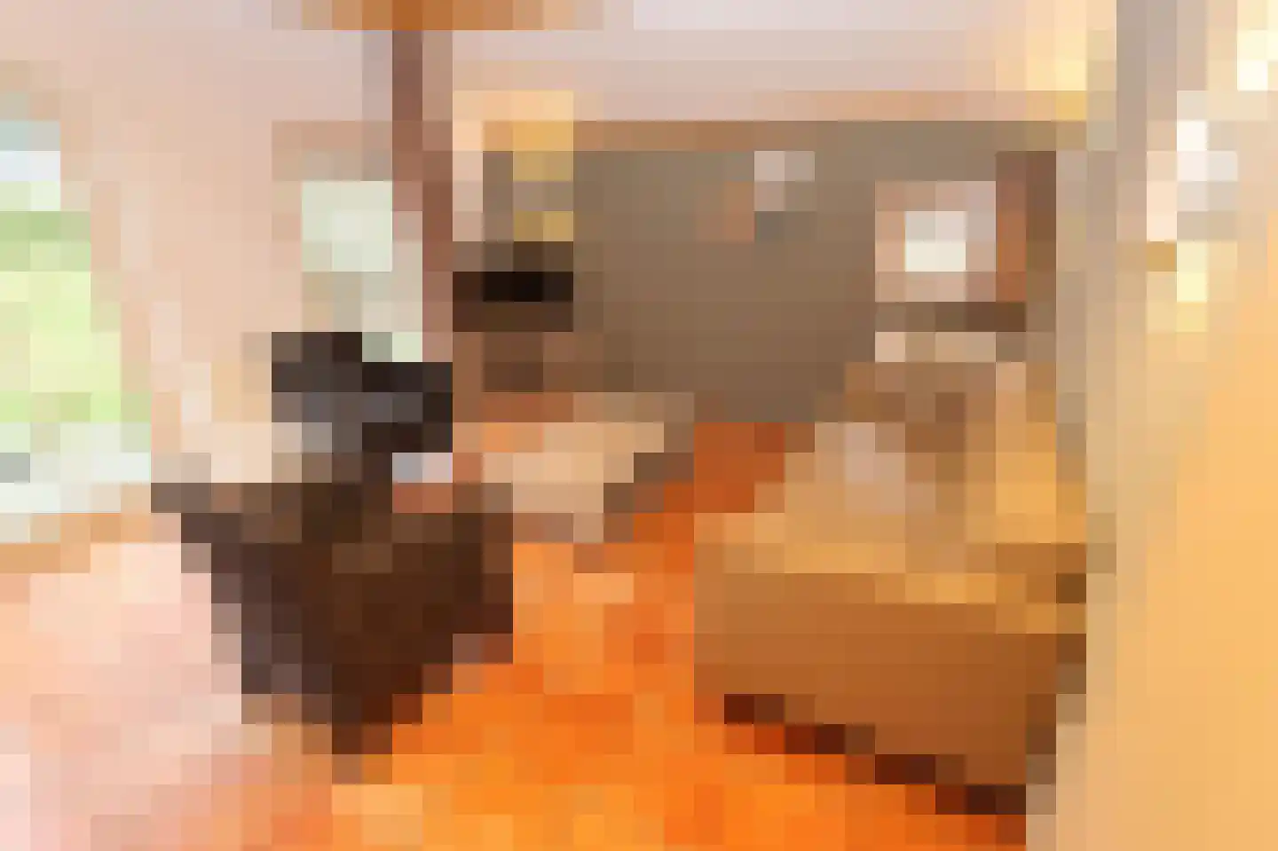 Tunnelweg 7 178 Haarle thumbnail 7