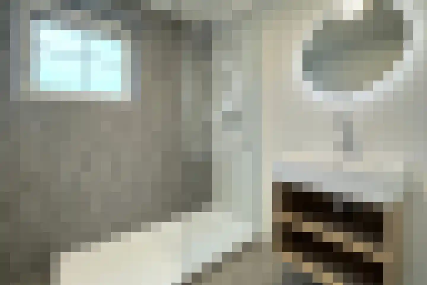 Tunnelweg 7 18 Haarle thumbnail 11