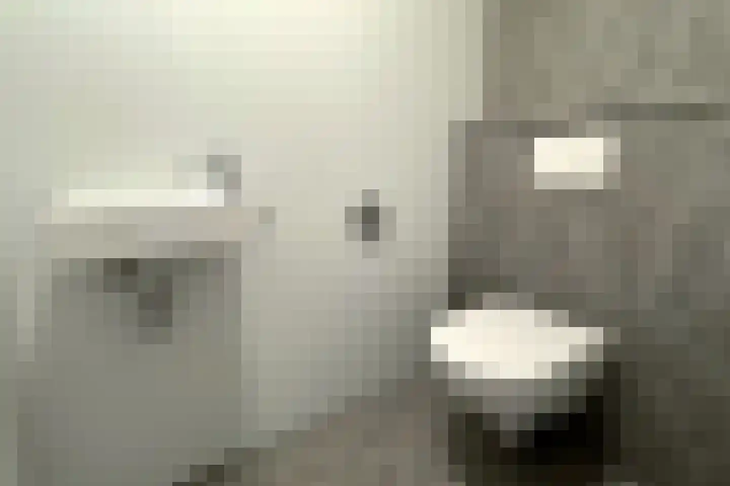 Tunnelweg 7 18 Haarle thumbnail 12