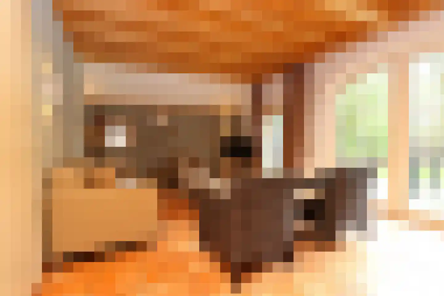 Tunnelweg 7 18 Haarle thumbnail 7