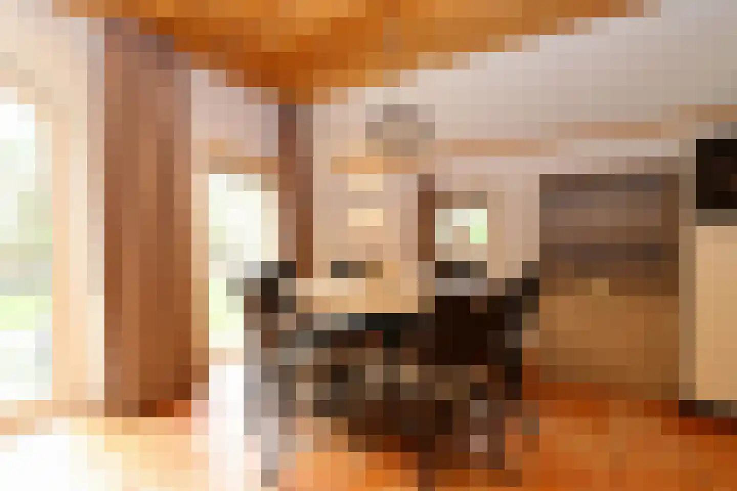 Tunnelweg 7 18 Haarle thumbnail 8