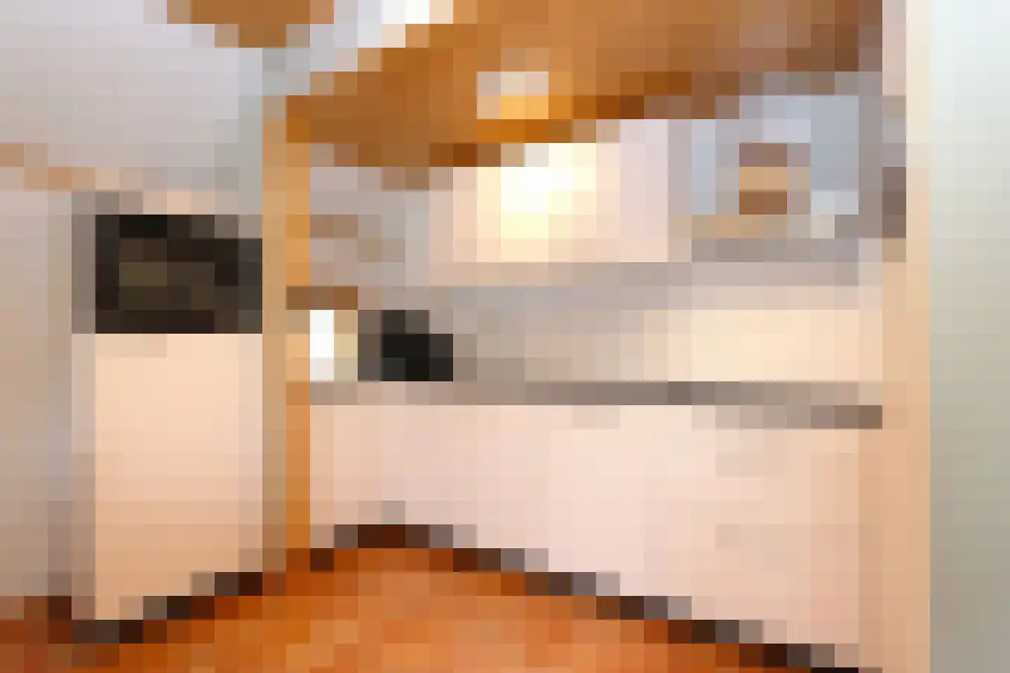Tunnelweg 7 181 Haarle thumbnail 10