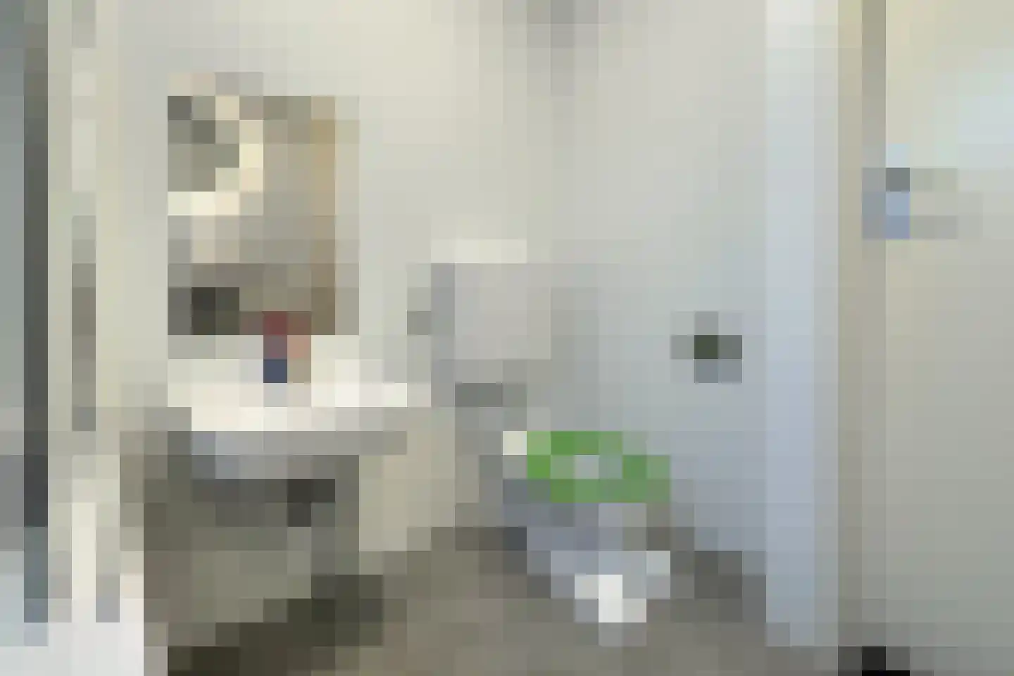 Tunnelweg 7 181 Haarle thumbnail 12