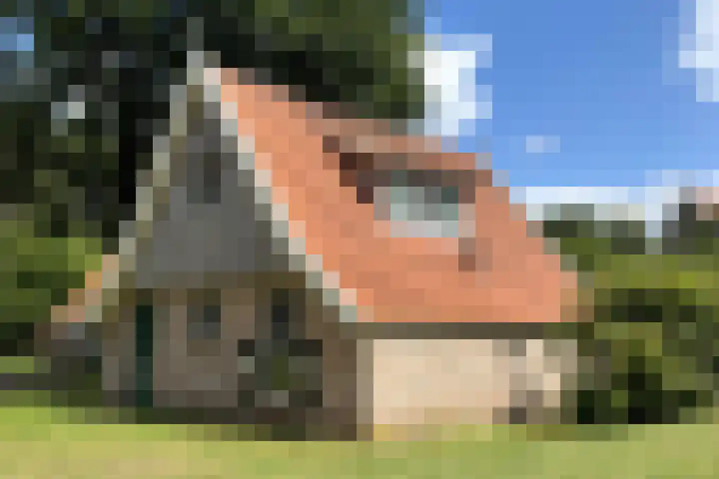 Tunnelweg 7 181 Haarle thumbnail 4