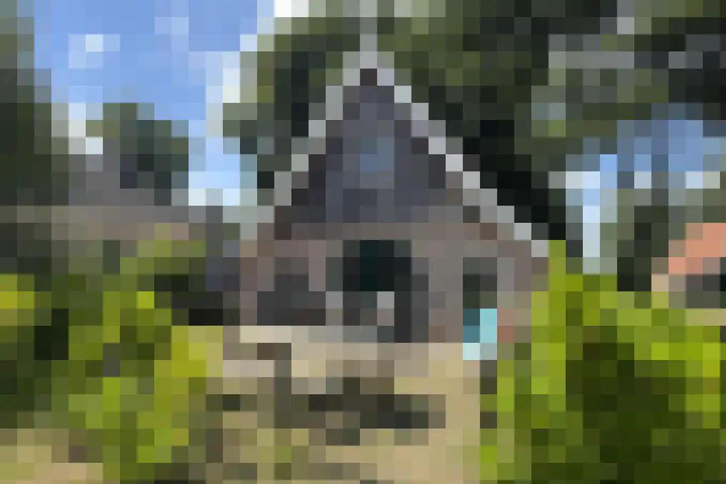 Tunnelweg 7 181 Haarle thumbnail 5
