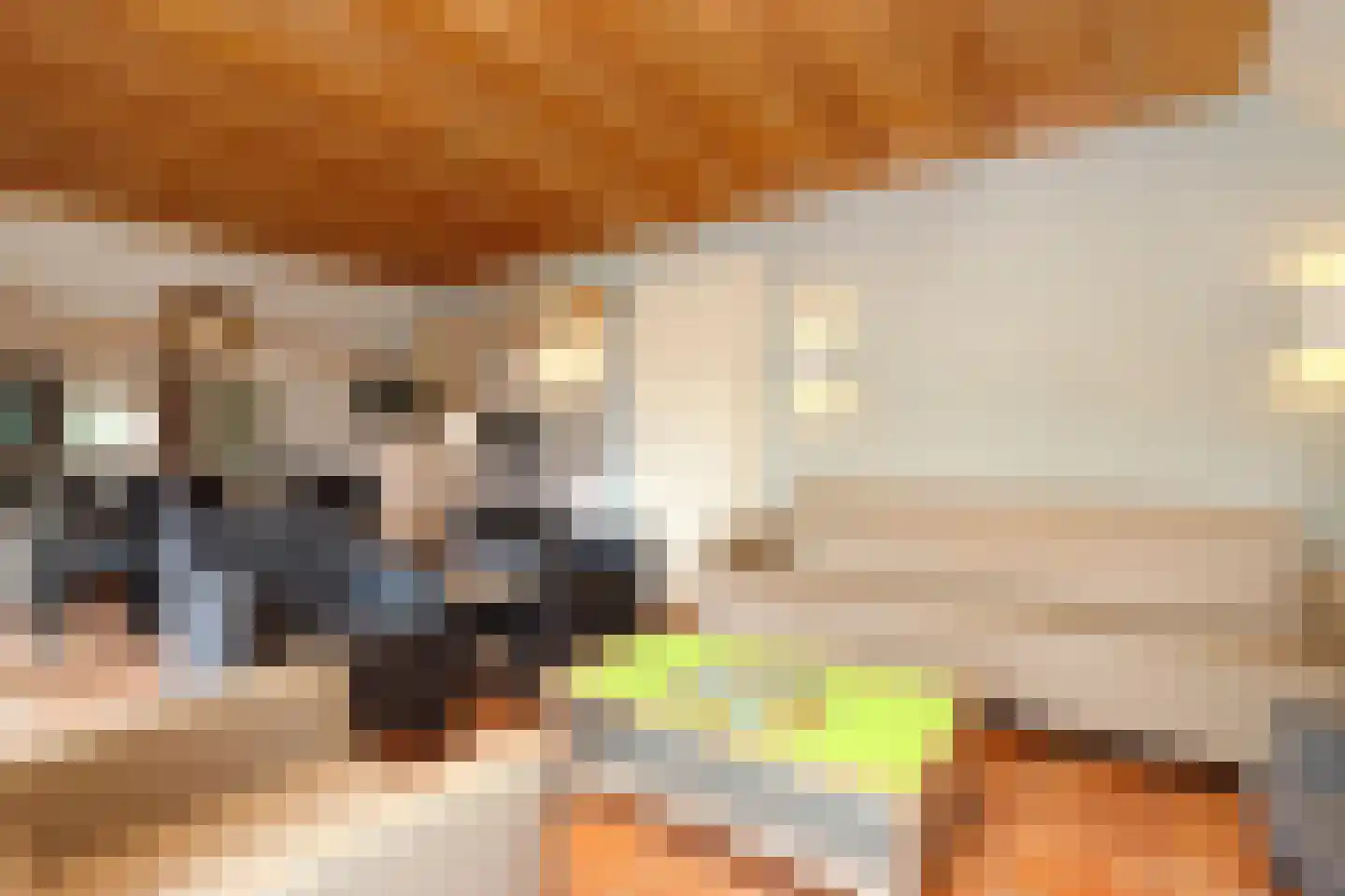 Tunnelweg 7 181 Haarle thumbnail 7