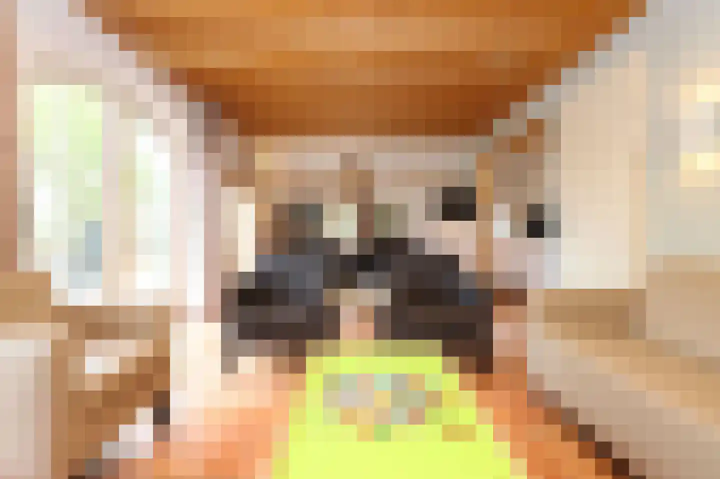 Tunnelweg 7 181 Haarle thumbnail 8