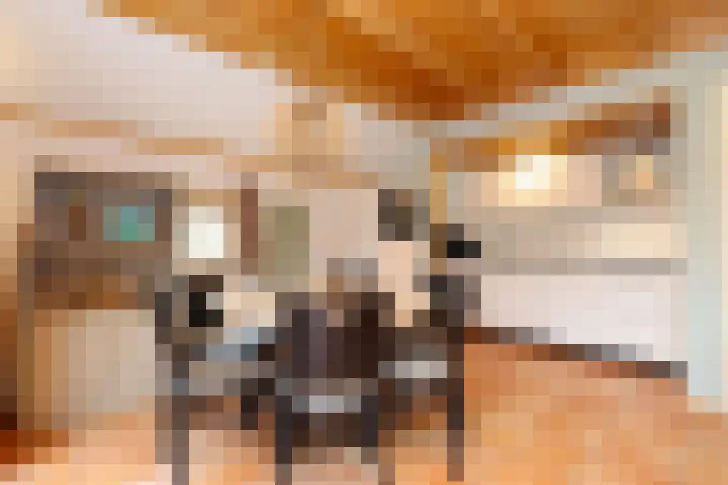 Tunnelweg 7 181 Haarle thumbnail 8