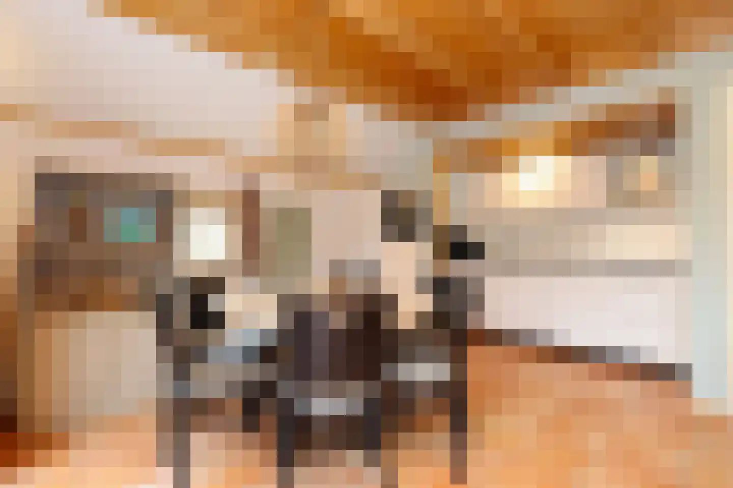 Tunnelweg 7 181 Haarle thumbnail 9