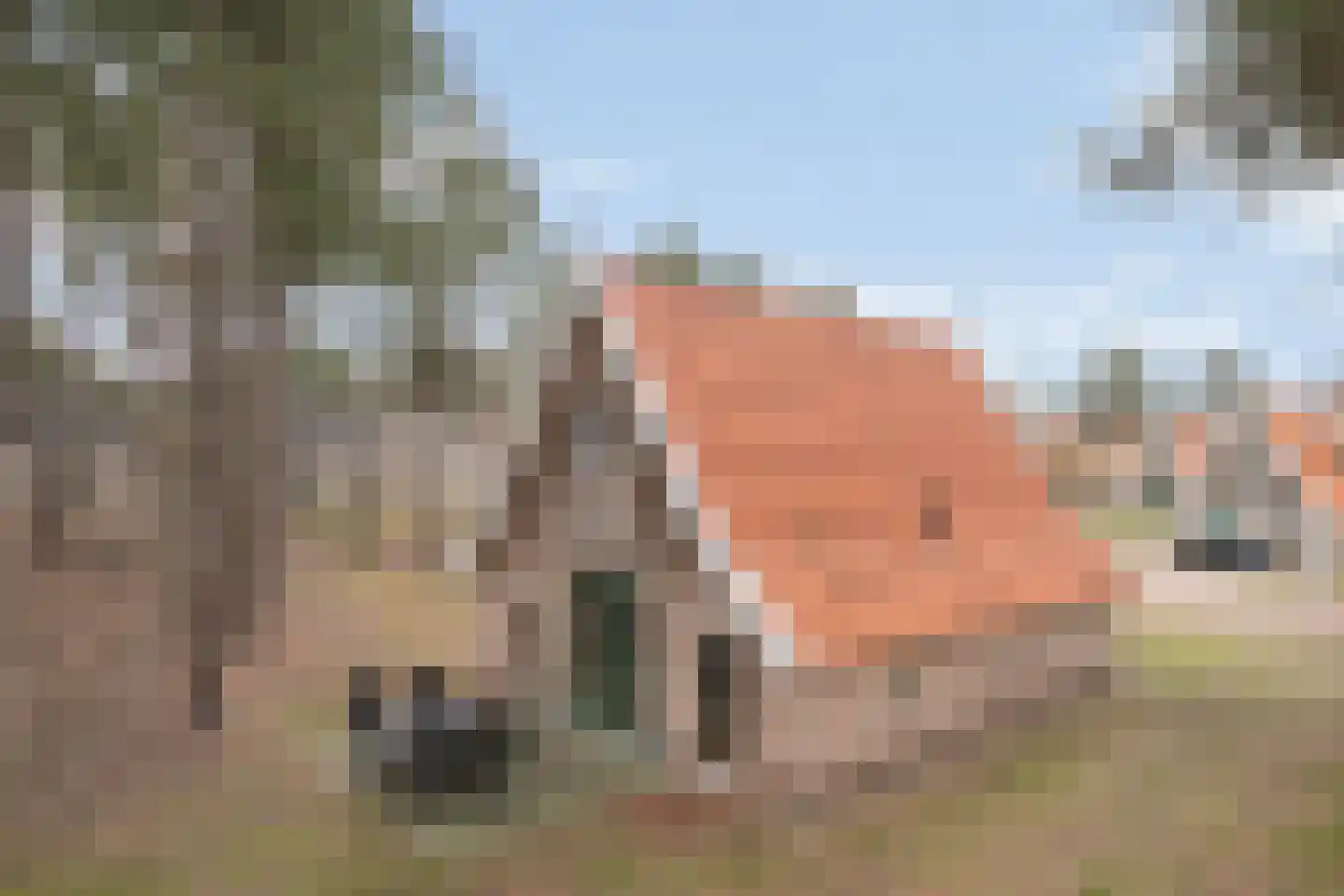 Tunnelweg 7 191 Haarle