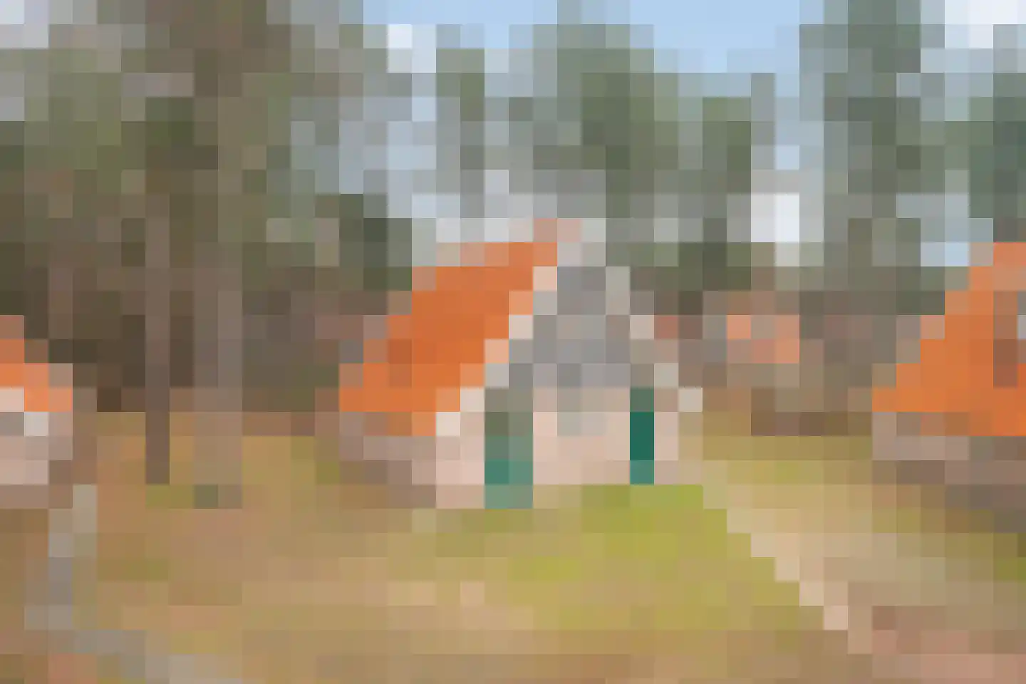 Tunnelweg 7 191 Haarle thumbnail 16