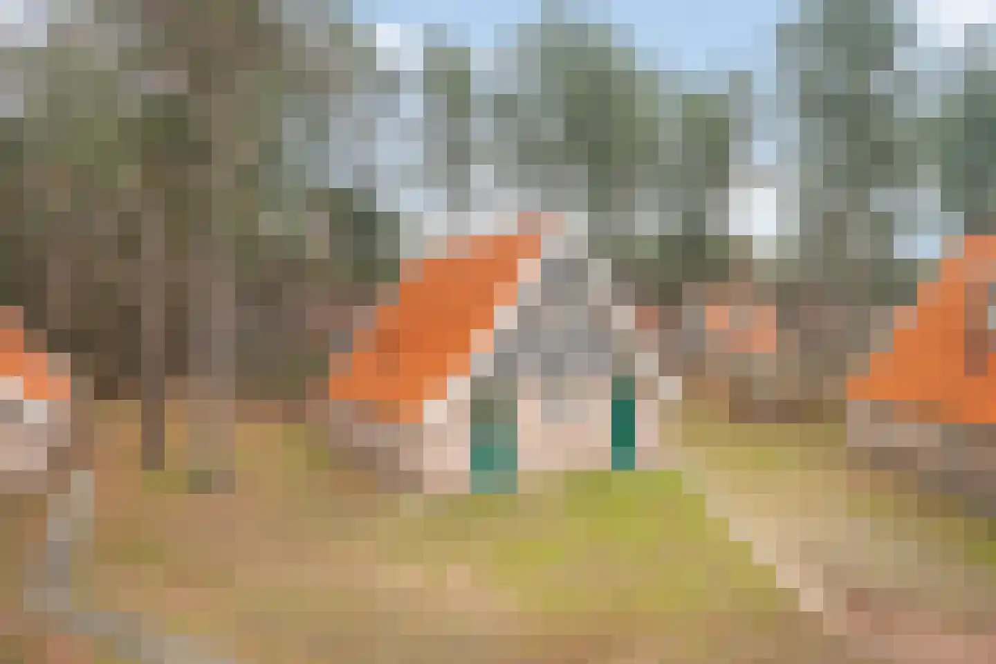 Tunnelweg 7 191 Haarle thumbnail 16