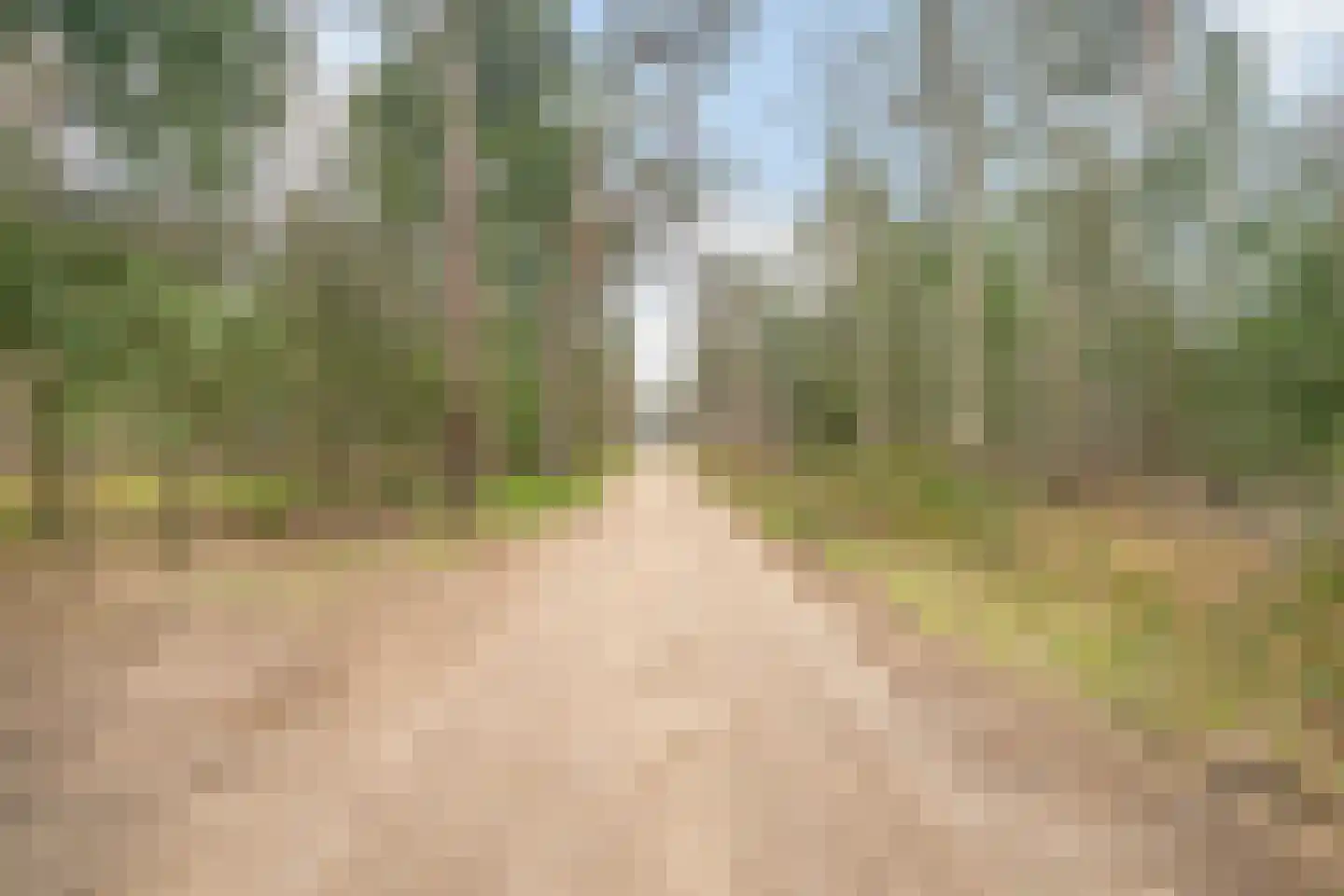 Tunnelweg 7 191 Haarle thumbnail 19