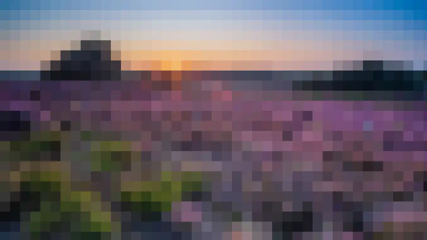 Tunnelweg 7 191 Haarle thumbnail 20