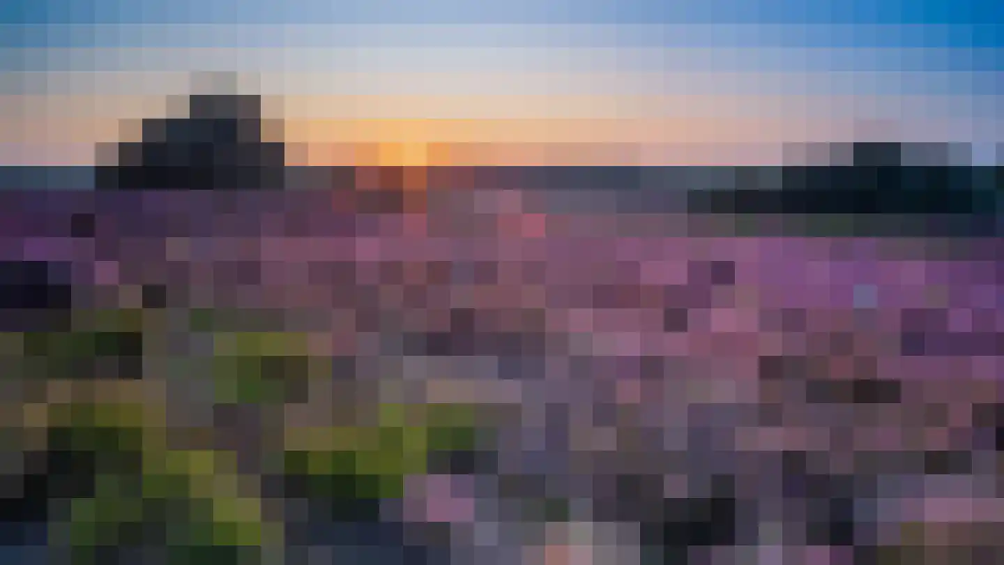 Tunnelweg 7 191 Haarle thumbnail 20
