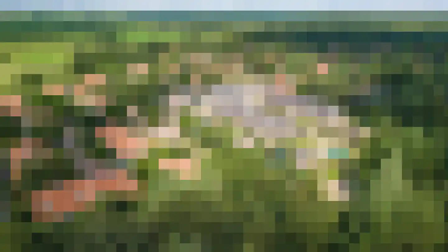 Tunnelweg 7 191 Haarle thumbnail 21