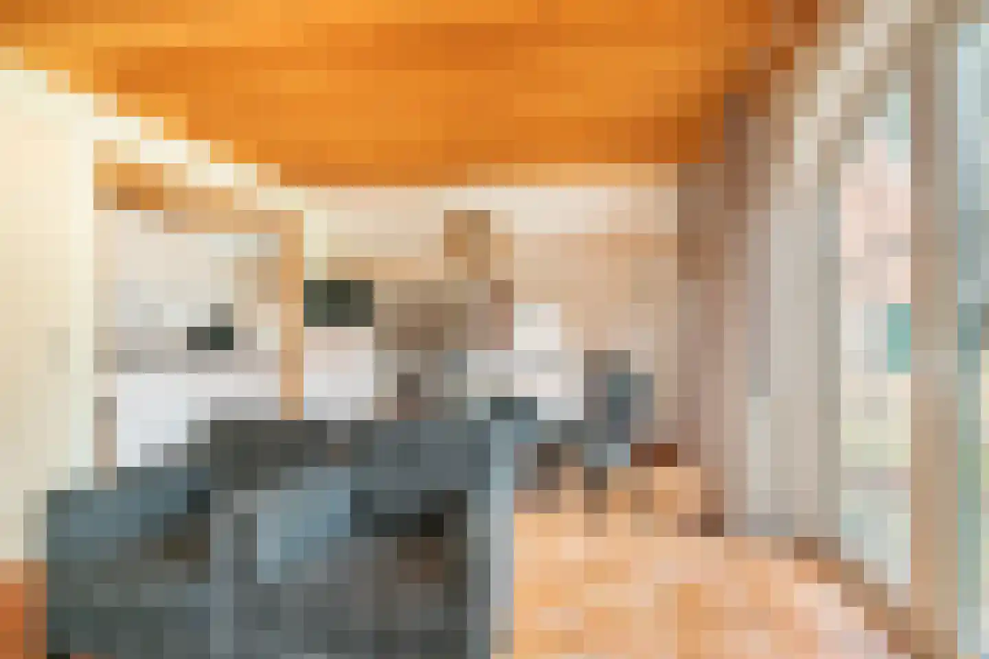 Tunnelweg 7 191 Haarle thumbnail 6