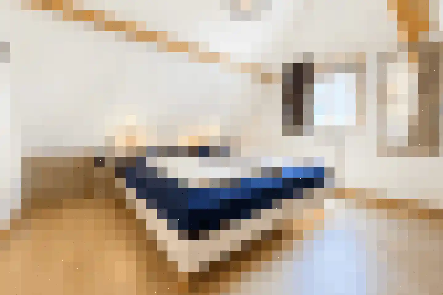 Tunnelweg 7 68 Haarle thumbnail 13