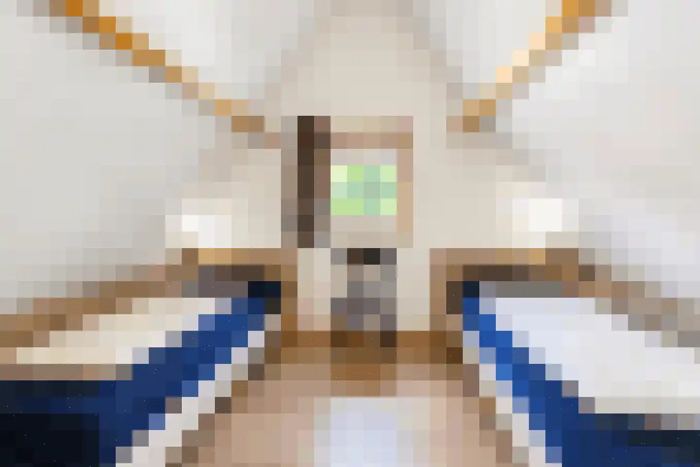 Tunnelweg 7 68 Haarle thumbnail 14