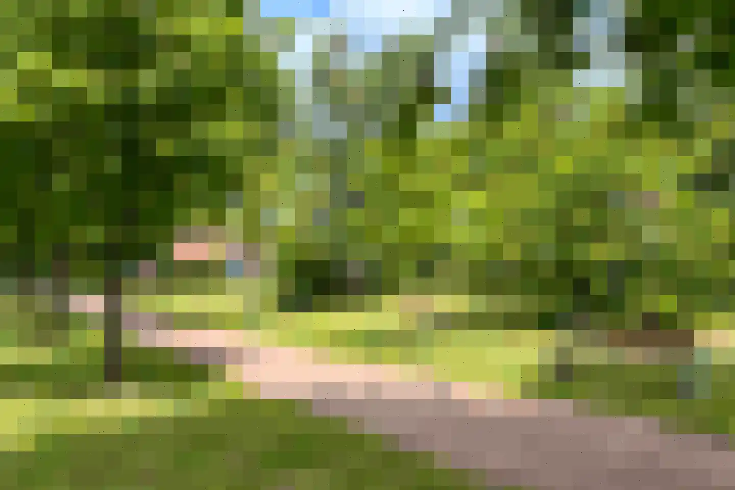 Tunnelweg 7 68 Haarle thumbnail 5