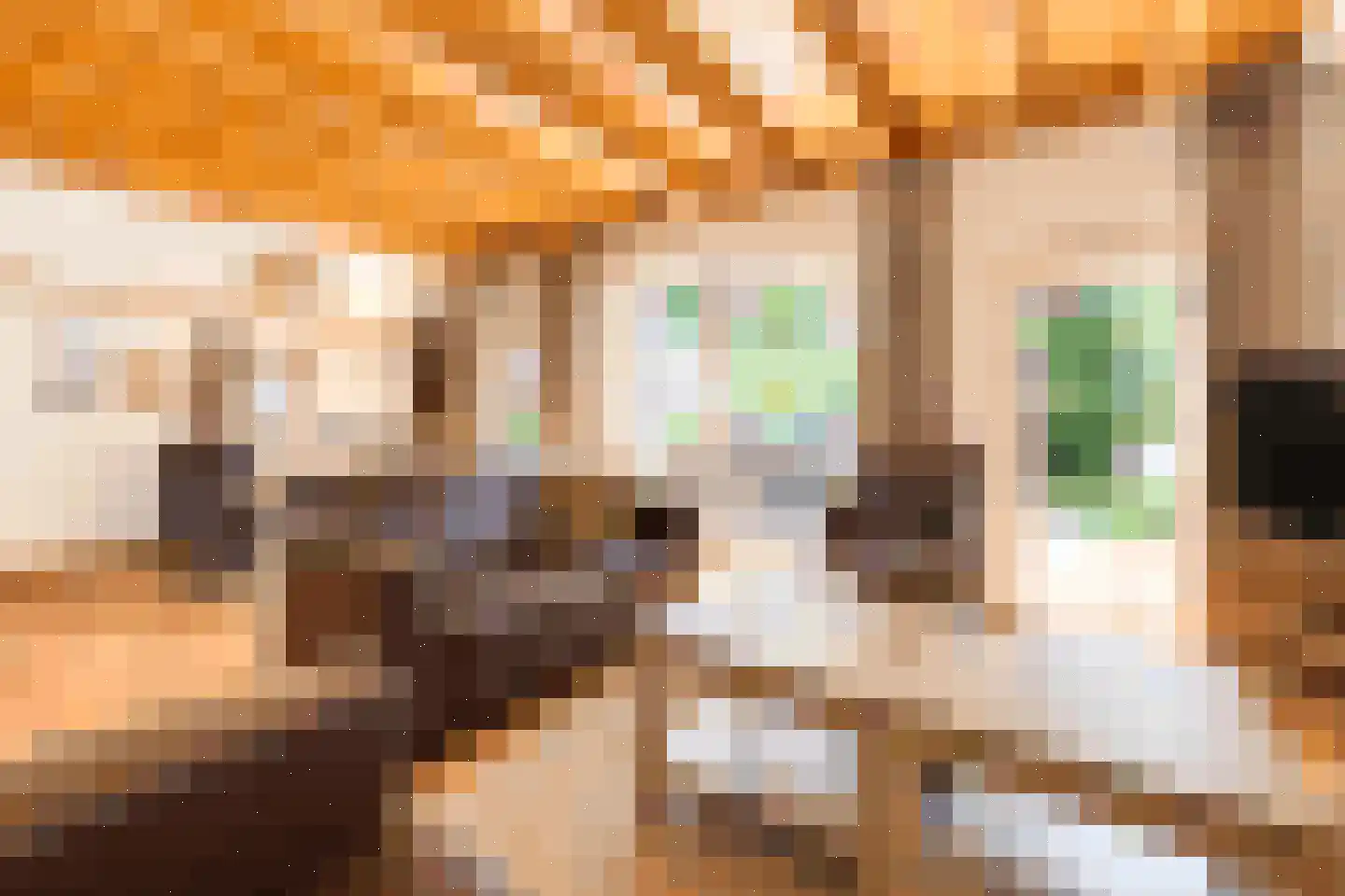 Tunnelweg 7 68 Haarle thumbnail 7