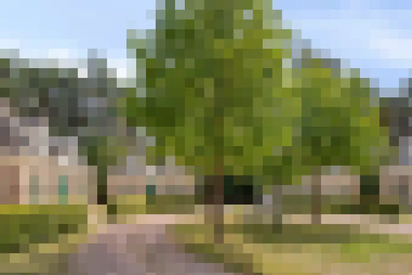 Tunnelweg 7 72 Haarle thumbnail 23