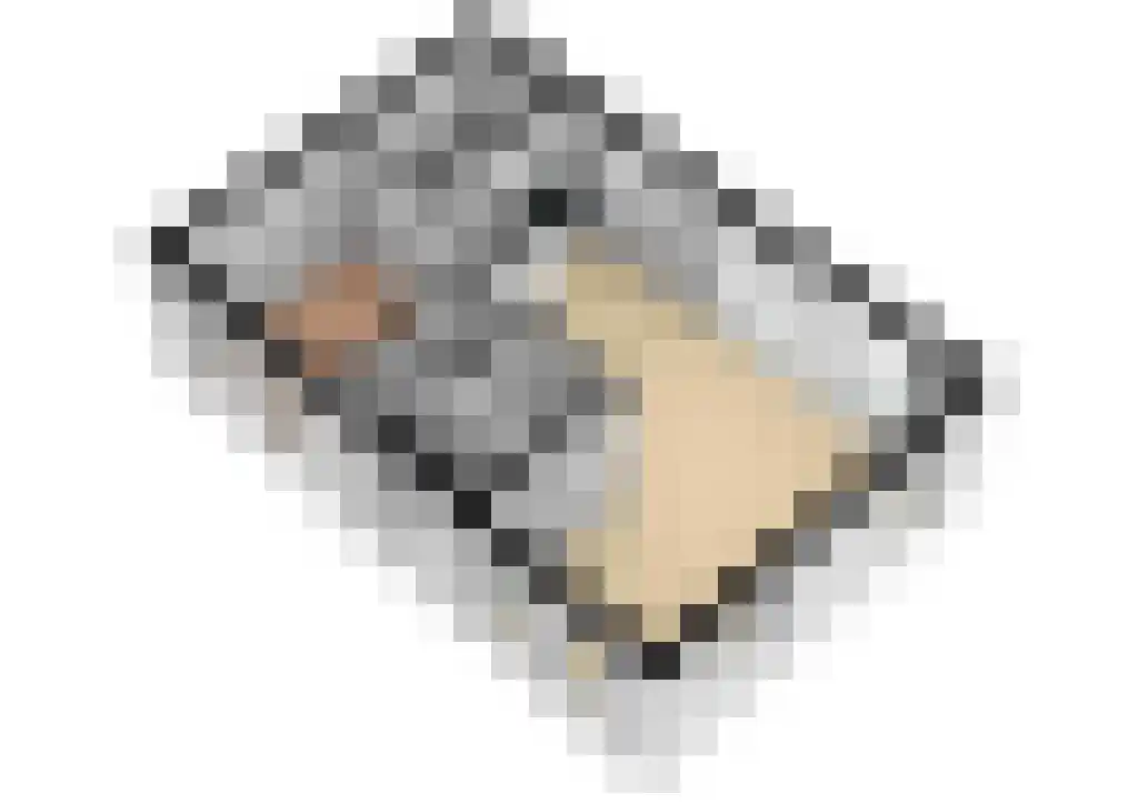Tunnelweg 7 72 Haarle thumbnail 31